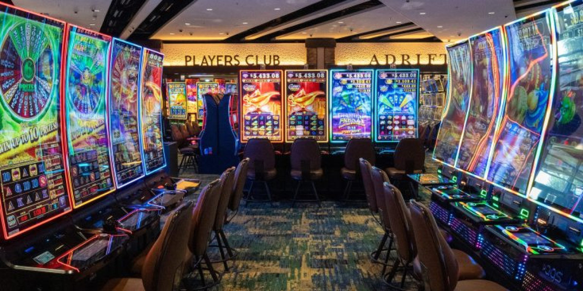 Read These Six Tips About 完全レビュー To Double Your Business